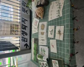 사진5