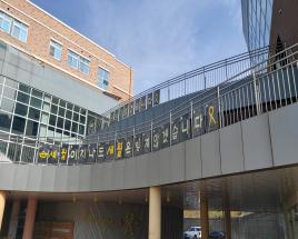 사진7
